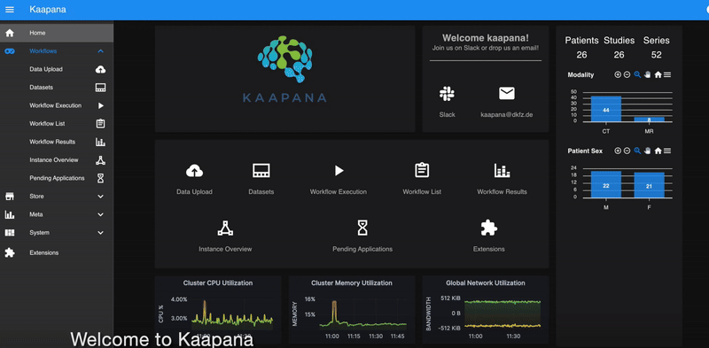 Kaapana 概念演示