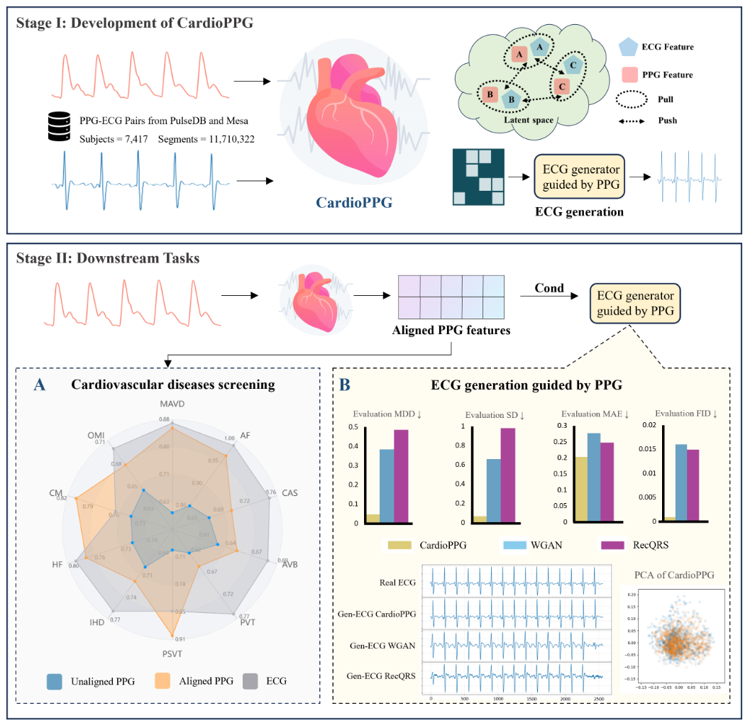 CardioPPG技术框架示意图