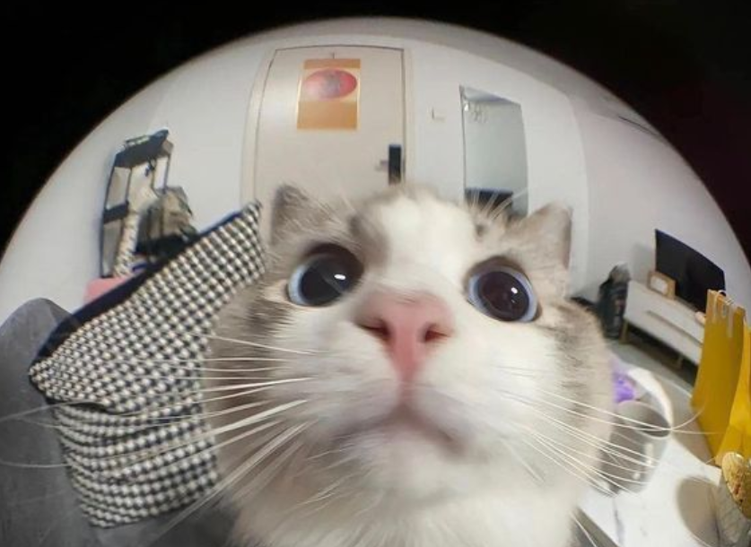 视觉系统硬件示意