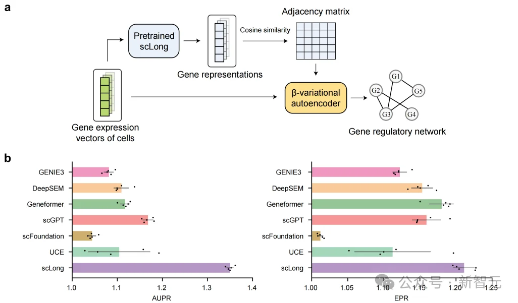 当AI第一次读完整本基因之书，十亿参数单细胞大模型能干什么？