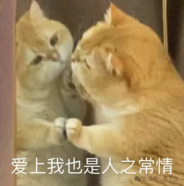 别人都在卷视觉，这家具身公司偏要卷“手感”