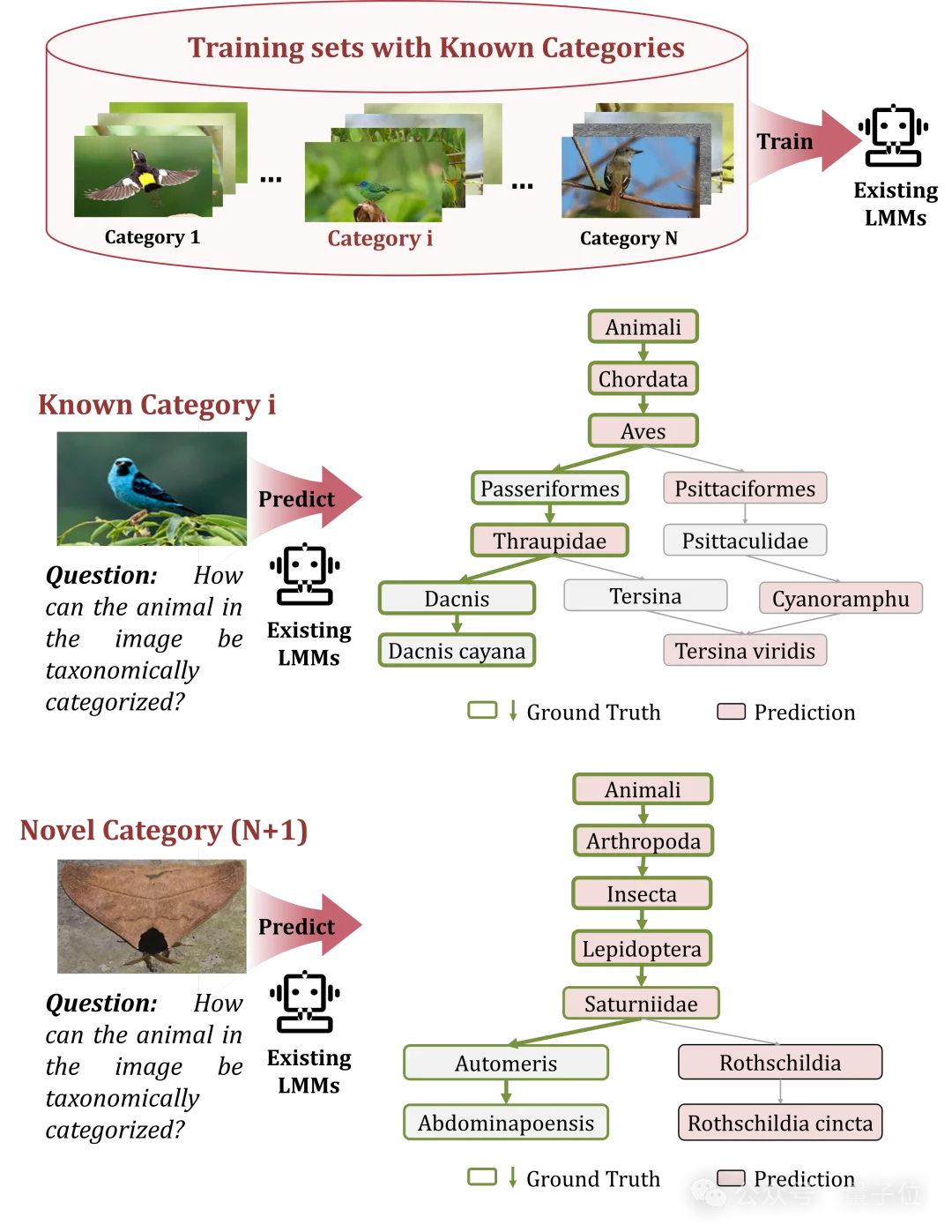 精准识别「界门纲目科属种」！北大彭宇新团队用细粒度树先验提升泛化，破解生物类别分层识别难题
