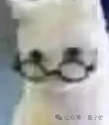 又一华为天才少年入局具身创业！用视频生成数据训家用机器人，首个模型登顶具身基模榜单