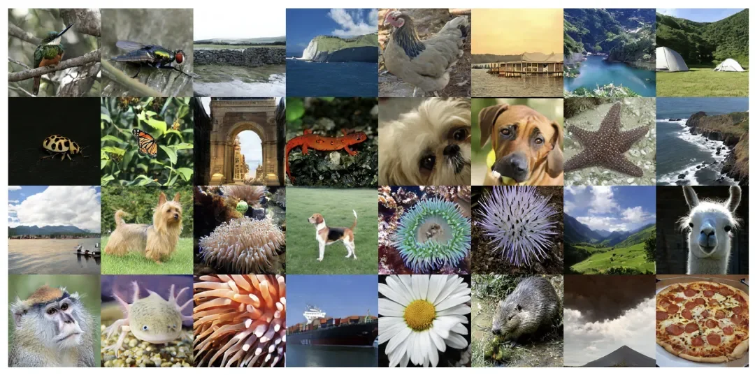 ICLR 2026 | ESC — 解构一步生成，厘清细节，探寻本质