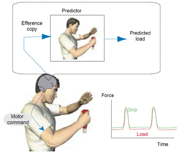 「被动感知」到「理解接触」!它石智航重磅发布OmniVTA视触觉世界模型