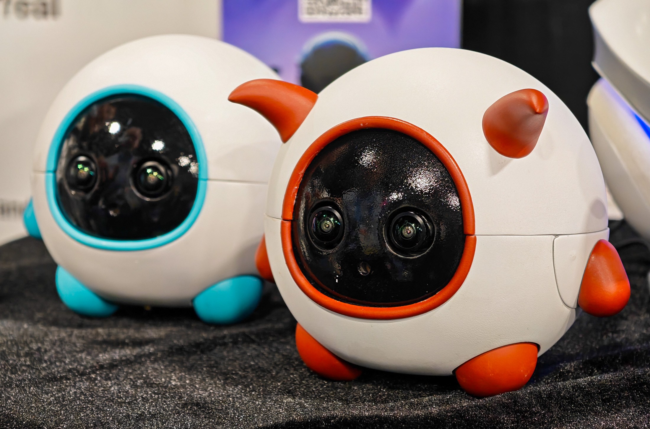 This robot companion is a cameraman for your pet | The Verge
