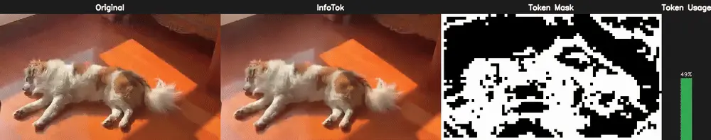 ICLR 2026 Oral | 大道至简!斯坦福、英伟达、新国立联合推出InfoTok,用信息论重新定义高效视频分词