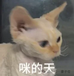 公司注册10天，估值逾10亿美元！理想智驾大牛刷出具身创投新热度