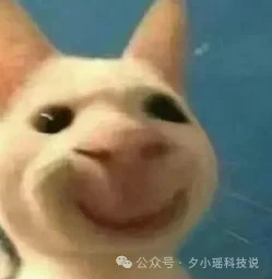 一键白标 Claude Code:自定义命令 + 启动画面 + 配置隔离,Skill可自取