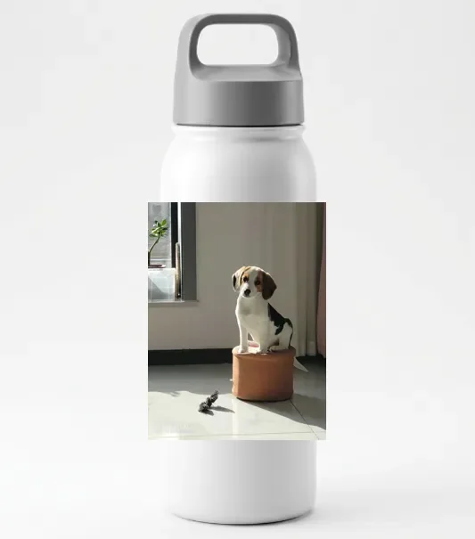 这次，我没有任何理由再用 PS 了