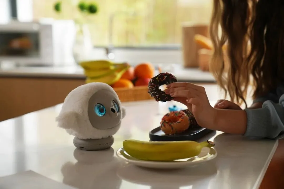 ropet 完成超千万美元融资：跨过 AI 宠物的「价格、销量、留存」不可能三角