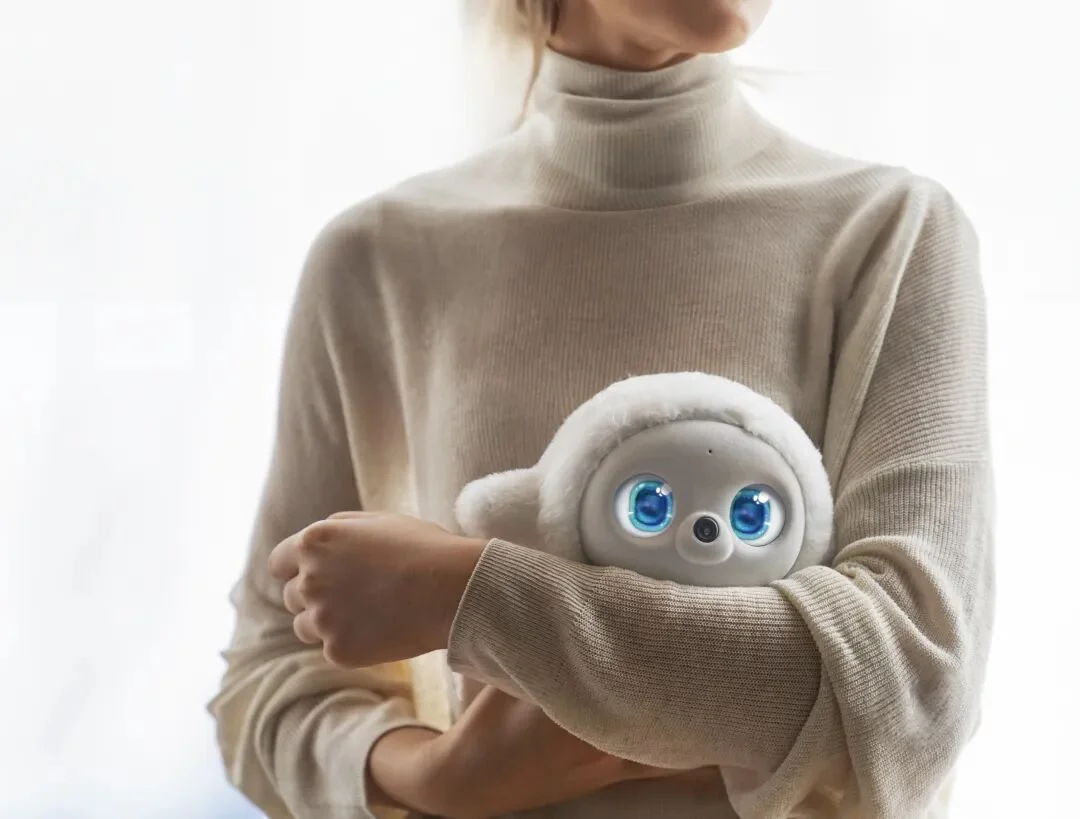 ropet 完成超千万美元融资：跨过 AI 宠物的「价格、销量、留存」不可能三角