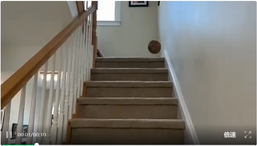 断层碾压Seedance 2.0：神秘「欢乐马」空降榜首，视频AI变天了