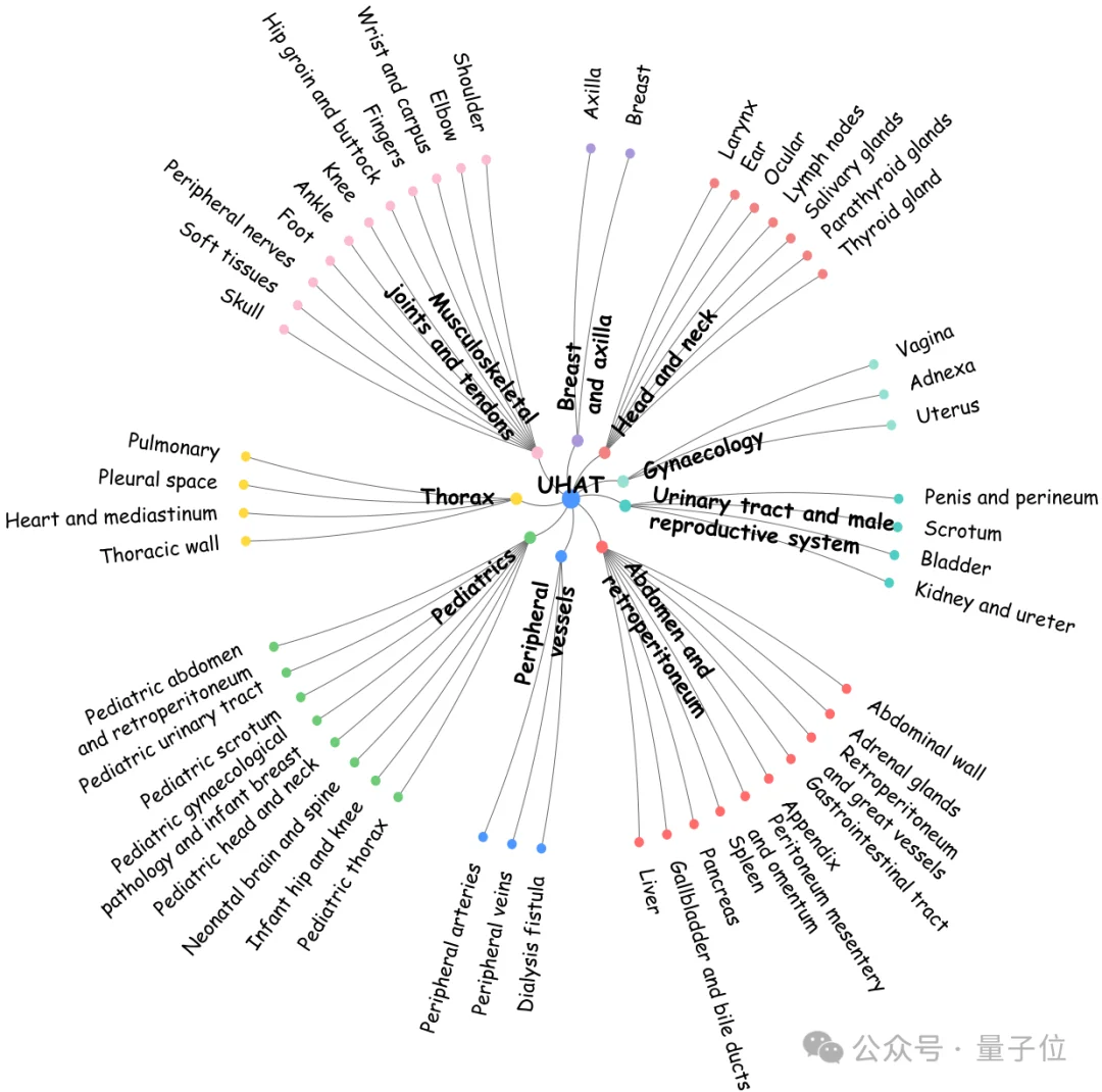 36.4万超声图文对!中国团队构建首个大规模超声专属数据集,让AI真正读懂临床诊断语义丨CVPR'26