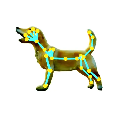 一张图生成「能动」的3D资产：VAST+香港大学AniGen把AIGC推向动画、游戏、仿真与具身智能 (SIGGRAPH 2026 TOG)