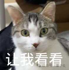 挖漏洞何必Mythos，国产智能体早跑通了