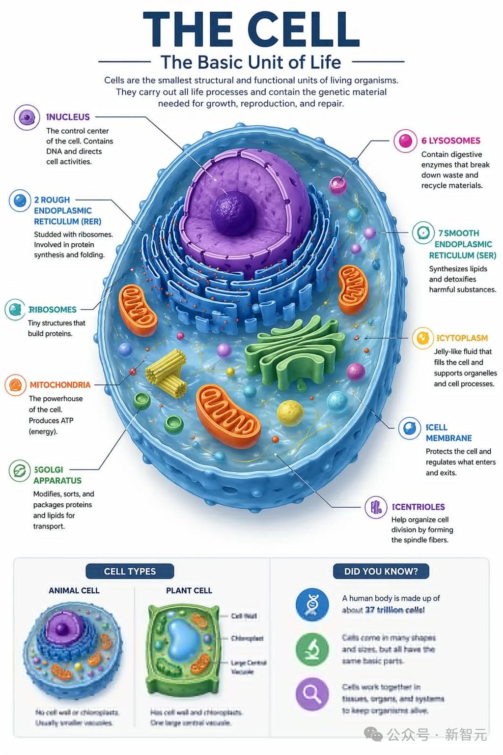 今天起，GPT Image 2要把全体设计师送走了